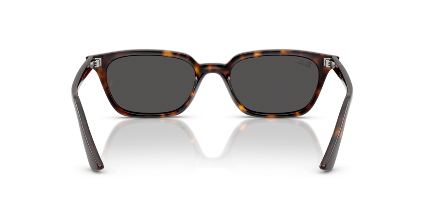 OKULARY RAY-BAN® ZAYA RB 4456 135987 50 ROZMIAR S
