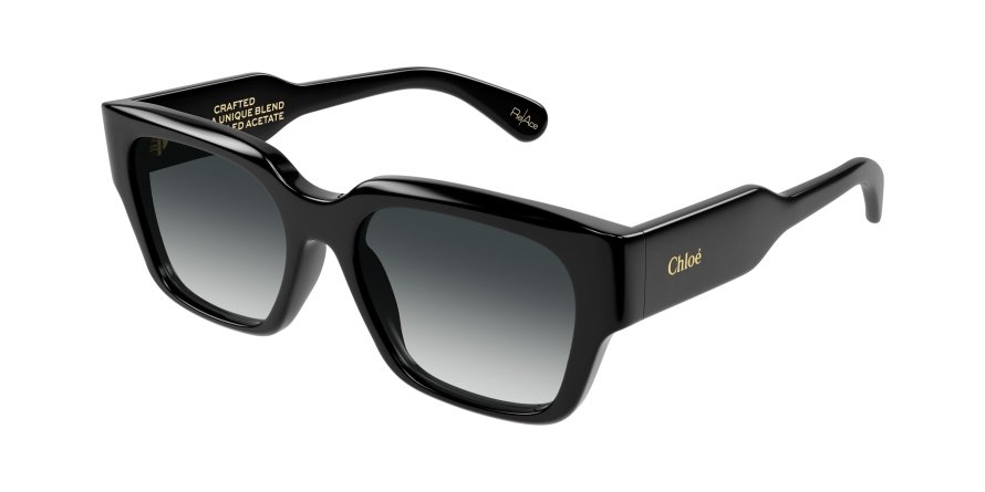 OKULARY CHLOE CH 0190S 001 54 ROZMIAR M