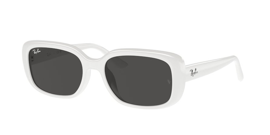 OKULARY RAY-BAN® RB 4421D 677287 56 ROZMIAR M