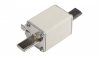Wkładka bezpiecznikowa NH1 100A gF 500V 004139117