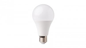 Żarówka LED E27 20W 1800lm 6500K Barwa Zimna A70
