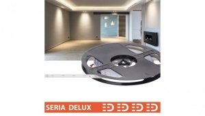 Taśma Delux 24V 48led 4000K 580lm SMD2835 (10)
