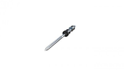 Śruba dwugwintowa M10 x 250