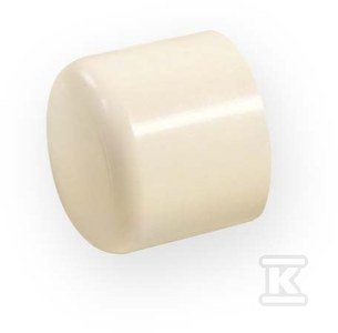 ZAŚLEPKA KW 1 PVC-C