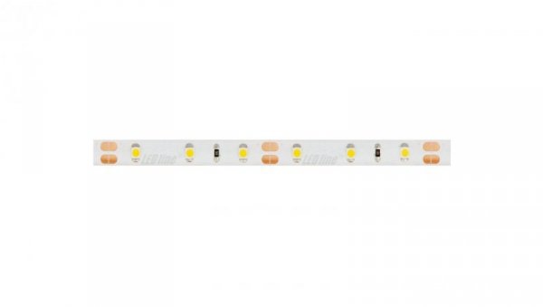 Taśma LED line 300 SMD3528 12V 6200-6700K IP65 240256/5m/