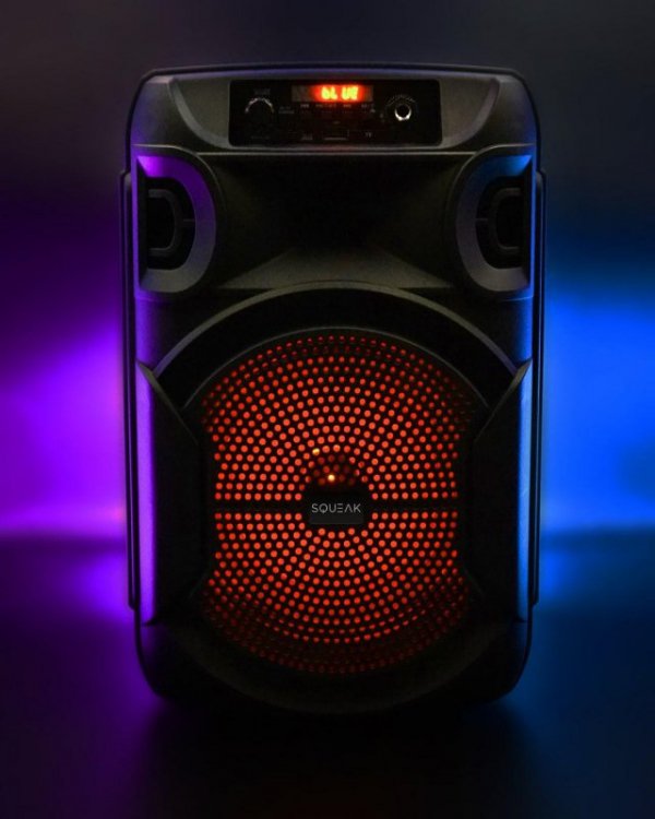 Głośnik mobilny SQUEAK SQ1006 30W Radio FM Czarny