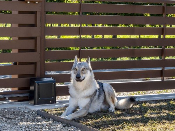 Zestaw Beninca KWOLF624.P2 24V do 600kg bram przesuwnych
