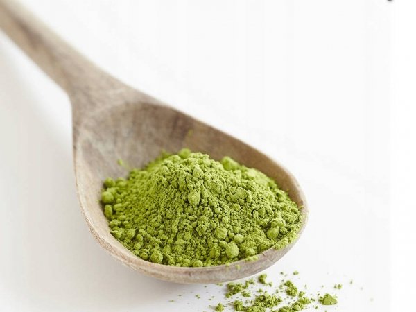 BIO Herbata Matcha proszek 100g Ekologiczna BIO Planet