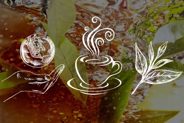 Herbata Ziołowa Rumianek z Polskich Ziół 20 Torebek Koszyczek Rumianku LOYD