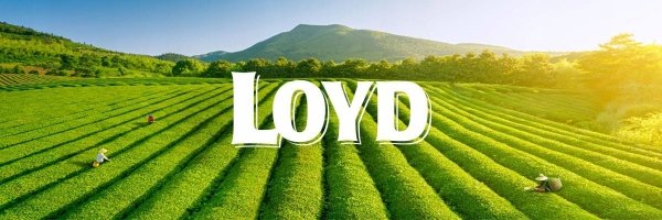 Ekspresowa Herbata Owocowa Truskawka Wanilia Madagaskar 20 T. Babcia Jagoda