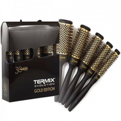 TERMIX EVOLUTION GOLD, ZESTAW 5 SZCZOTEK, RÓŻNE ROZMIARY