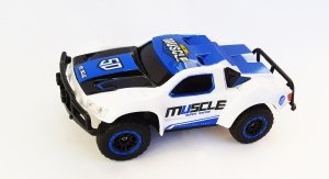 RACING RALLY SHORT COURSE TRUCK 1:43 2,4 GHZ