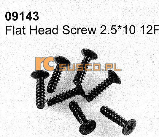 Cap head screw 2,5*10 12P