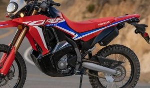 Zestaw osłon przeciwbłotnych RG Racing Eazi-Grip Scuff Guard Kit Honda Crf300L/ Rally 21-
