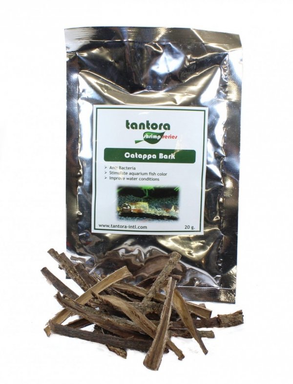 Tantora Cattapa Bark Kora Ketapangu 20G