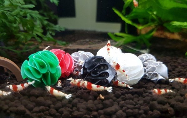 Baby Shrimp Shelters Biały 1 szt super schronienie