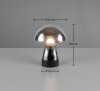 DOOLEY R54981154