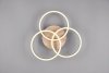 CIRCLE R62823135 REALITY LEUCHTEN