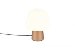 STEEN 568200165