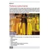 Krótki poradnik o produkcji świec (Martyna Walerowicz)
