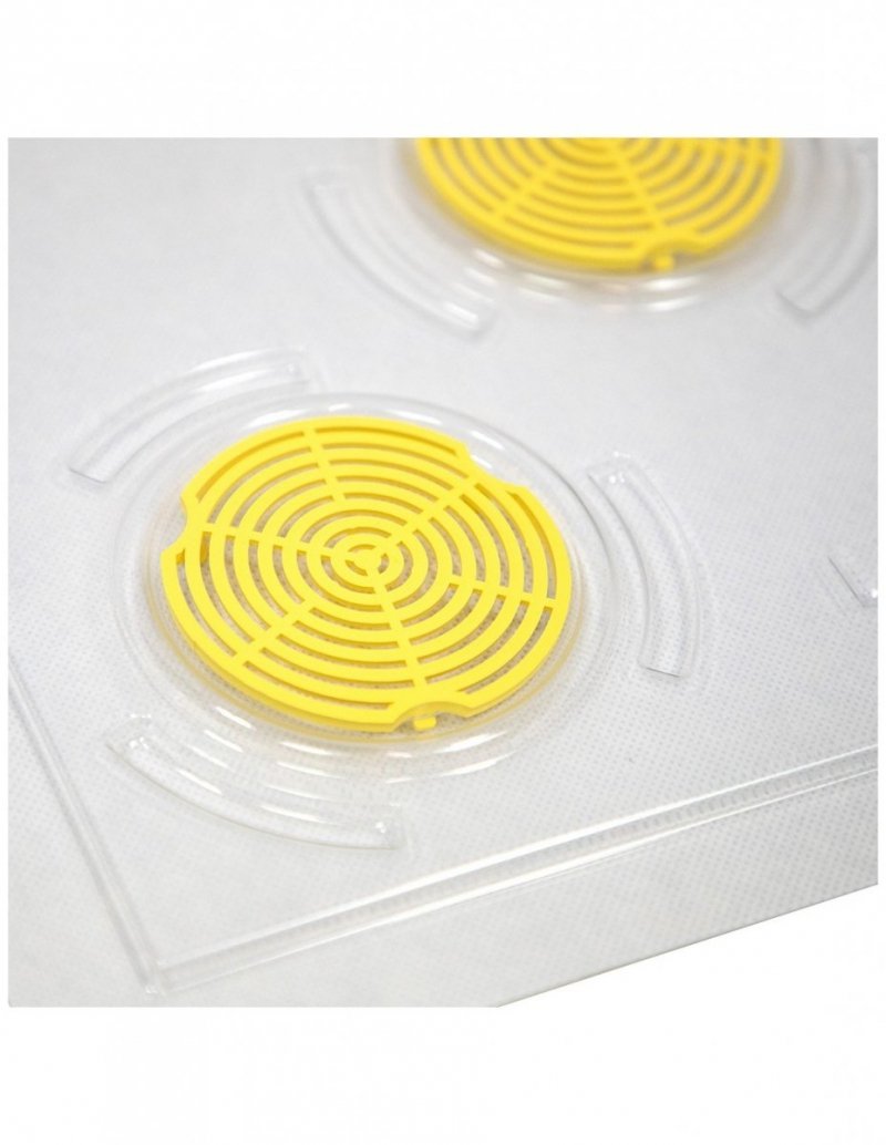 Transparent Crown Board, plastic, Wielkopolska 10-Frame
