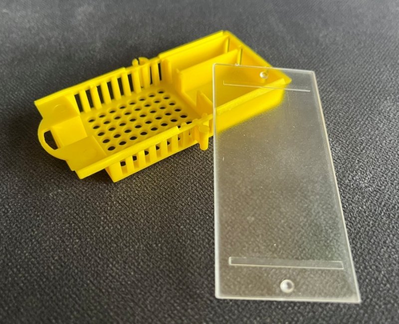 Queen bee cage (model 1)