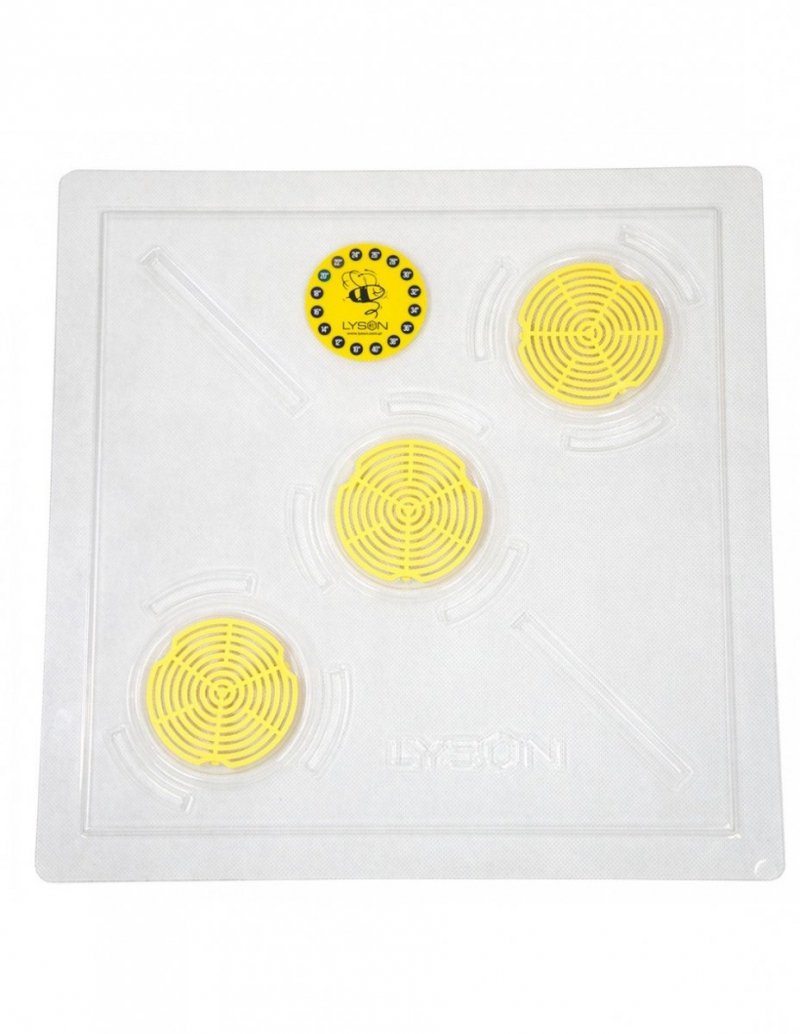Transparent Crown Board, plastic, Wielkopolska 10-Frame