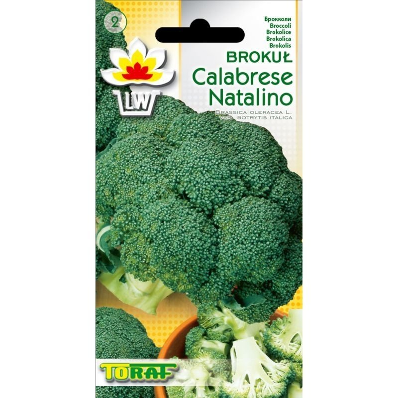 Brokuł (Calabrese Natalino) - nasiona