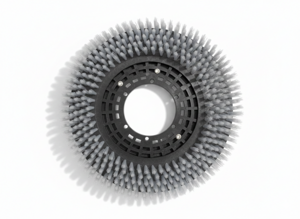 Szorowarka do podłóg T5-B