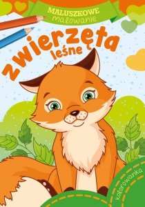 Zwierzęta leśne Kolorowanka Maluszkowe Malowanie Koloruj