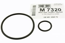 2X USZCZELKA POMPY PODCIŚNIENIA 2.0 HDI 307 308 407 508 607 807 EXPERT III