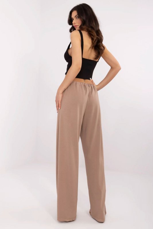 Spodnie Dresowe Model RV-DR-A591.18 Dark Beige - Relevance