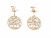EARRINGS SILVER STAINLESS STEEL CELEBRITY