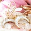 EARRINGS SILVER STAINLESS STEEL CELEBRITY