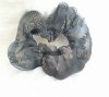 velvet hair elastic