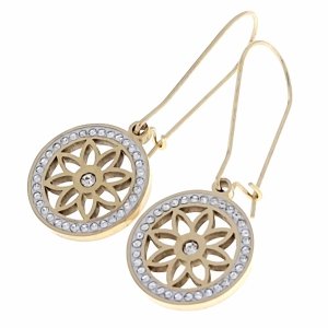 goldene Ohrringe aus Edelstahl