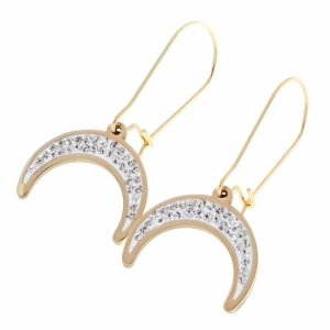 EARRINGS SILVER STAINLESS STEEL CELEBRITY