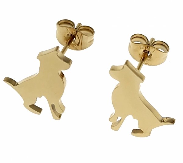 gold earrings made of stainless steel