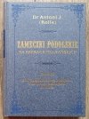 Antoni J. Rolle Zameczki podolskie na kresach multańskich tom 3