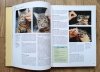 Koty: zachowanie - opieka - anatomia - rasy