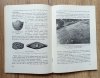 Jadwiga Dembowska Geologia historyczna