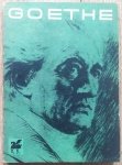 Johann W. Goethe • Poezje wybrane