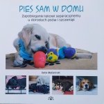 Kate Mallatratt • Pies sam w domu. Zapobieganie lękowi separacyjnemu u dorosłych psów i szczeniąt 