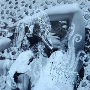 Bjork • Vespertine • CD