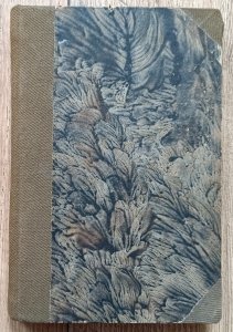 Edward Górski • Wykład Psałterza Dawidowego / 1916