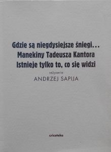 Andrzej Sapija • Gdzie są niegdysiejsze śniegi... Manekiny Tadeusza Kantora. Istnieje tylko to, co się widzi • DVD