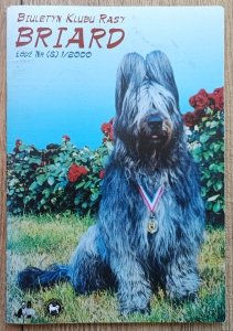 Biuletyn Klubu Rasy Briard (8) 1/2000