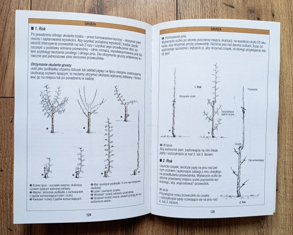 Jean-Yves Prat Cięcie drzew i krzewów owocowych