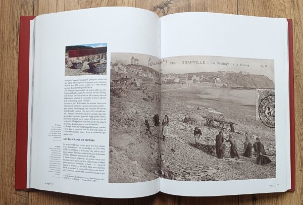 Loic Josse La Morue. Voyages et Usages