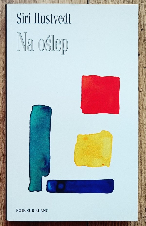 Siri Hustvedt Na oślep